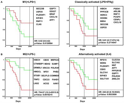 Frontiers | Corrigendum: Macrophage Polarization: Different Gene ...